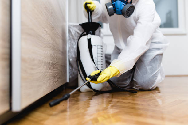 Best Pest Control Treatment  in Oconto Falls, WI
