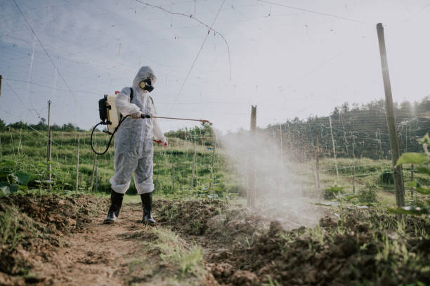 Best Pest Removal Services  in Oconto Falls, WI
