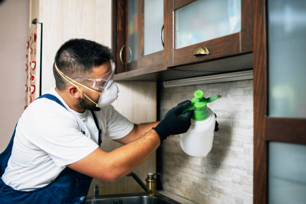 Best Ant Control Services  in Oconto Falls, WI
