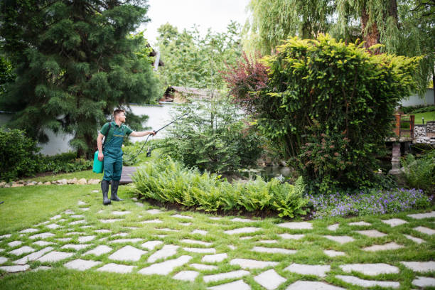 Best Pest Control Near Me  in Oconto Falls, WI
