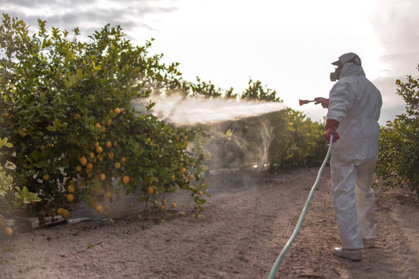 Best Flea Control Services  in Oconto Falls, WI