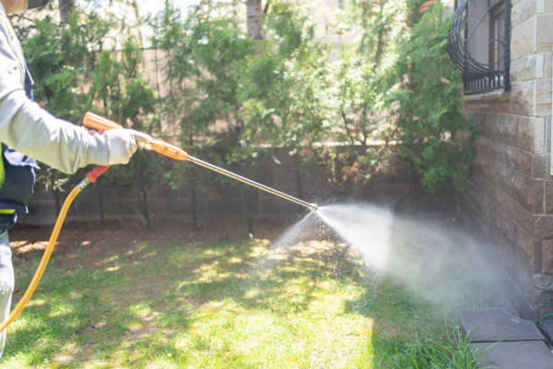 Best Wasp Removal Services  in Oconto Falls, WI