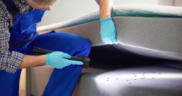 Best Residential Pest Control  in Oconto Falls, WI