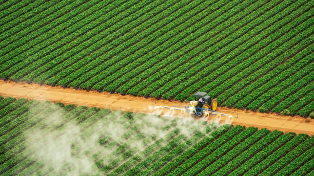 Best Commercial Pest Control Services  in Oconto Falls, WI