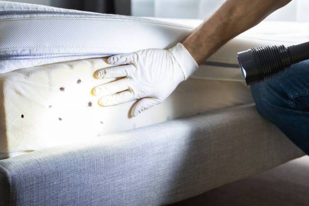 Best Best Pest Control Companies  in Oconto Falls, WI