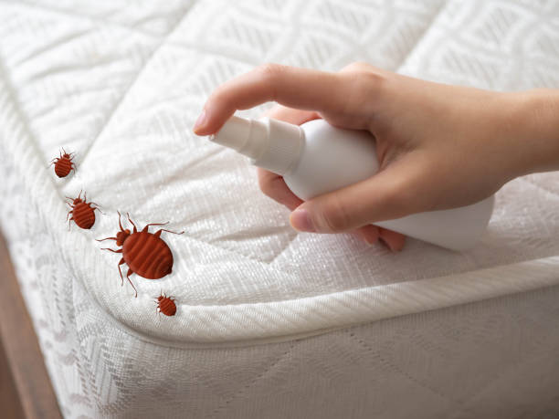 Best Cockroach Control Services  in Oconto Falls, WI