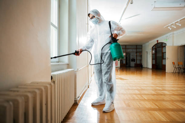 Best Affordable Pest Control Services  in Oconto Falls, WI